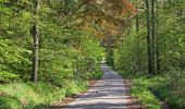 Percorso A piedi Enschede - Wandelnetwerk Twente - rode route - Photo 7