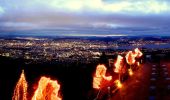 Tour Zu Fuß Stallikon - Uitikon Waldegg Station - Uetliberg Kulm - Photo 9