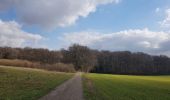 Tour Zu Fuß Falkenburg an der Göhl - Blauwe paaltjes - Photo 7