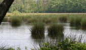 Tour Zu Fuß Haaksbergen - WNW Twente - Buurse/Wiite Veen - oranje route - Photo 9