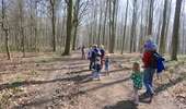 Trail Walking Braine-le-Comte - RF-BB-06 - Hennuyères - Grande Boucle - 2025-03-05 - Photo 1