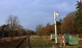 Tour Zu Fuß Berg en Dal - Kraaiendalroute - Photo 10