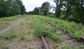 Tour Zu Fuß Berg en Dal - Kraaiendalroute - Photo 8