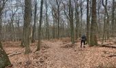 Trail On foot Rheden - Zwarte wandelroute - Photo 1