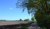 Tour Zu Fuß Haaksbergen - Wandelnetwerk Twente - groene route - Photo 4