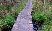 Trail On foot Haaksbergen - WNW Twente - Buurse/Wiite Veen - oranje route - Photo 6