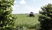 Tocht Te voet Woerden - NS-wandeltocht Hollandse Kade - Photo 8