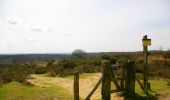 Tour Zu Fuß Rheden - Zwarte wandelroute - Photo 3