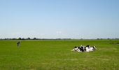 Tocht Te voet Woerden - NS-wandeltocht Hollandse Kade - Photo 4