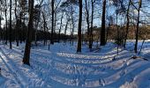 Tour Zu Fuß Ermelo - Leuvenumse bos vrije wandeling - Photo 2