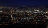 Tour Zu Fuß Stallikon - Uitikon Waldegg Station - Uetliberg Kulm - Photo 10