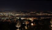 Tour Zu Fuß Stallikon - Uitikon Waldegg Station - Uetliberg Kulm - Photo 4