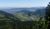 Percorso A piedi Alpthal - Oberdorf - Teuffeli - Photo 7