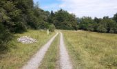 Trail On foot Urdorf - Ober Urdorf - Birmensdorf Bahnhof - Photo 4