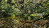 Tour Zu Fuß De Bilt - Rondom Berg en Bosch - Photo 2