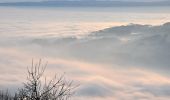 Tour Zu Fuß Stallikon - Uetliberg Kulm - Balderen - Photo 6