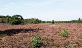 Randonnée A pied Ede - Welkom op het Wekeromse Zand! - Photo 1