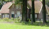 Tour Zu Fuß Borne - WNW Twente - Oud Borne/Stroomesch - blauwe route - Photo 7