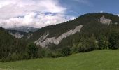 Trail On foot Safiental - Station Versam-Station Valendas - Photo 6