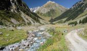 Tour Zu Fuß Disentis - Alp Cavrain Sut-Punt Russein - Photo 4