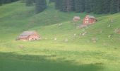 Tocht Te voet Rüte - Staubern-Kastensattel - Photo 4