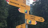 Tocht Te voet Engelberg - Eienwäldli - Herrenrütiboden - Photo 7