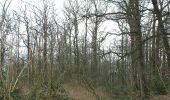 Trail On foot Barneveld - Appelpad - Photo 1