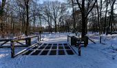 Tocht Te voet Ermelo - Leuvenumse bos vrije wandeling - Photo 4