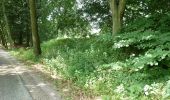 Trail On foot Roermond - Schwalmbruch W1 - Photo 3