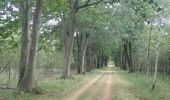 Tour Zu Fuß Alphen-Chaam - Smokkelroute - Photo 2