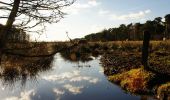 Trail On foot Boxtel - Blauw - Photo 2