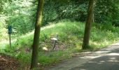 Trail On foot Roermond - Schwalmbruch W1 - Photo 10
