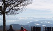 Tour Zu Fuß Stallikon - Uetliberg Kulm - Balderen - Photo 4