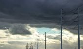 Tour Zu Fuß Haarlemmermeer - De Lievenveldenroute - Photo 3