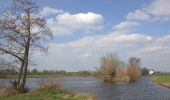 Tocht Te voet Stichtse Vecht - Boerenland Wandeling - Photo 6