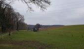 Tour Zu Fuß Falkenburg an der Göhl - Blauwe paaltjes - Photo 3