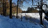 Trail On foot Ermelo - Leuvenumse bos (blauwe route) - Photo 3