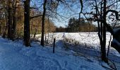 Randonnée A pied Ermelo - Leuvenumse bos vrije wandeling - Photo 6