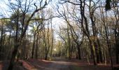 Trail On foot Hilversum - Hoorneboegse Heide - Photo 2