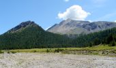 Trail On foot Val Müstair - Nationalpark Wanderroute 15 (Munt la Schera) - Photo 1