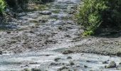 Tour Zu Fuß Disentis - Alp Cavrain Sut-Punt Russein - Photo 2