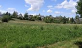 Randonnée Marche Tavers - Balade Tavers-Beaugency  - Photo 9