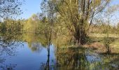 Randonnée Marche Bézu-Saint-Éloi - Bézu Saint Eloi - Les Etangs de Neaufles - La tour de Neaufles - Photo 14