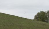 Tour Zu Fuß Blieskastel - Vogel-Rundwanderweg Webenheim/Mimbach? - Photo 4