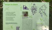 Trail Walking Canteleu - Forêt monumentale - Photo 2
