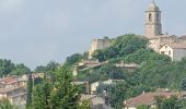 Trail Electric bike Monteux -  Carpentras gorges de la Nesque - Photo 13