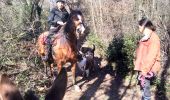 Trail Donkey back riding Livron-sur-Drôme - Abiche toundra - Photo 3