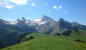 Tour Wandern Manigod - La pointe d'Orsière - Photo 3