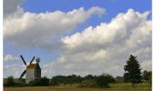 Tour Zu Fuß Am Mellensee - Saalower Mühlenweg - Photo 3