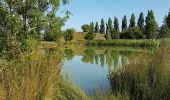 Randonnée Marche Taugon - route de l eau - Photo 12